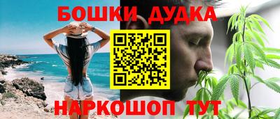 дживик Будённовск