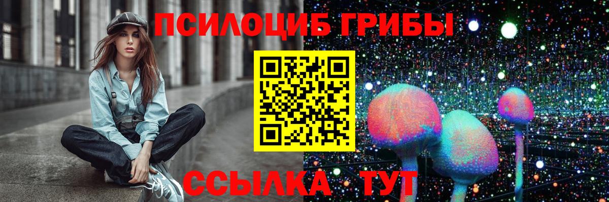 Псилоцибиновые грибы Psilocybine cubensis Малгобек
