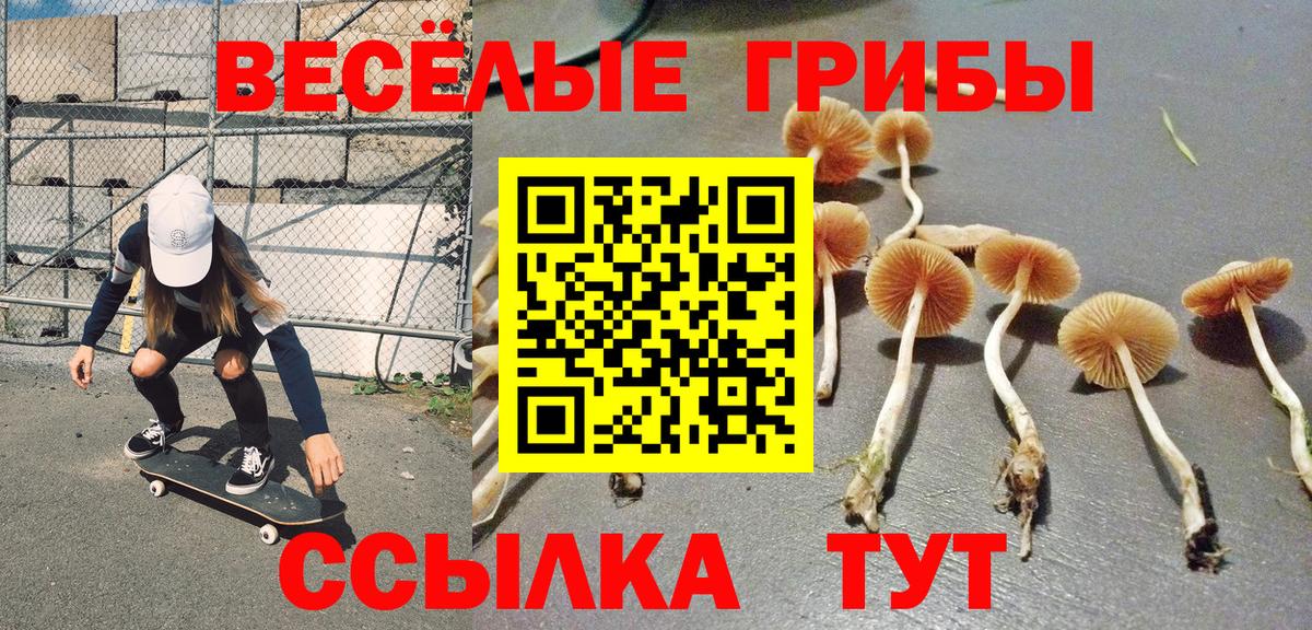 Псилоцибиновые грибы GOLDEN TEACHER  Псилоцибиновые грибы прущие грибы  Малгобек  Вход с VPN 