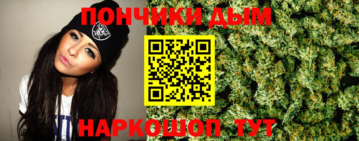 Конопля сатива Малгобек